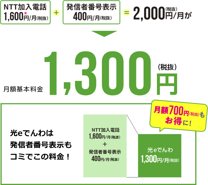 月額基本料金1,300円（税抜）