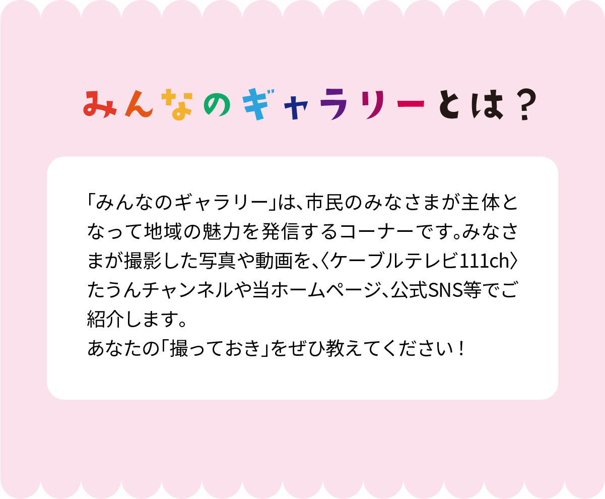 みんなのギャラリーとは？