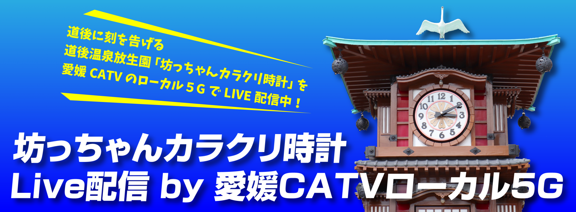 愛媛catv