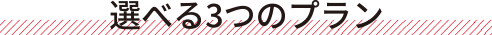 選べる3つのプラン