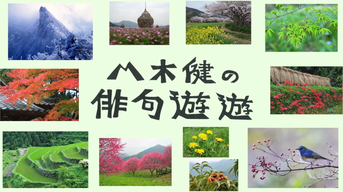 八木健の俳句遊遊