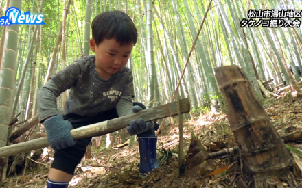 湯山地区 タケノコ堀り大会