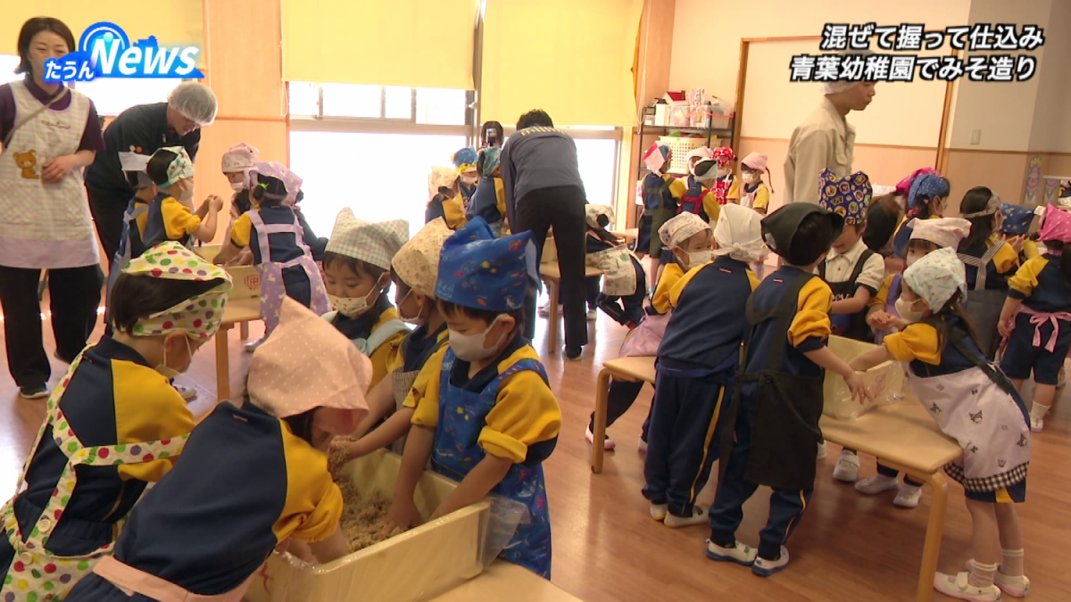 青葉幼稚園でみそ造り体験
