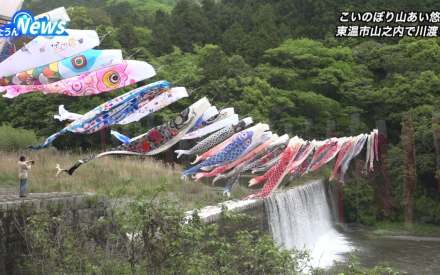重信川こいのぼりの川渡し
