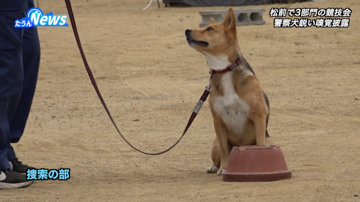 第17回県警嘱託警察犬競技会