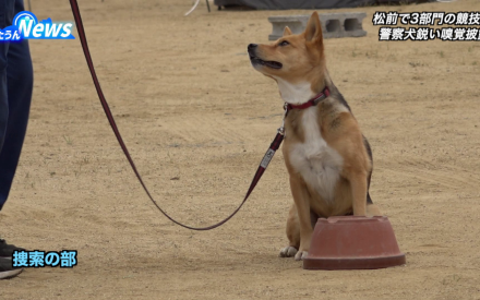 第17回県警嘱託警察犬競技会