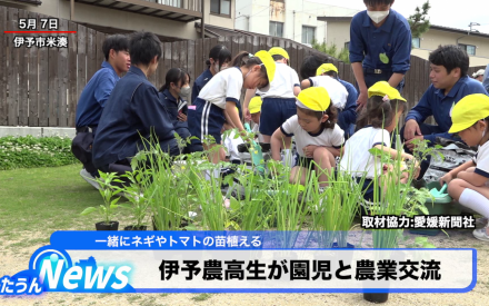 伊予農高生と園児が農業交流