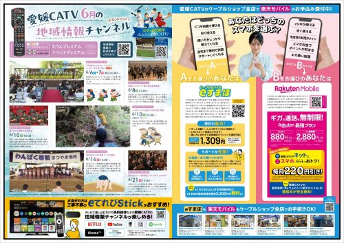 6月見ものチラシ
