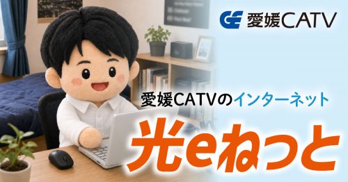 光eねっと