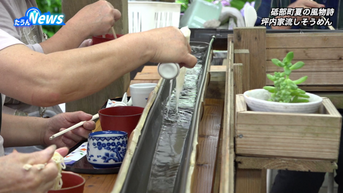坪内家流しそうめん始まる