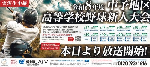 高校野球新人大会
