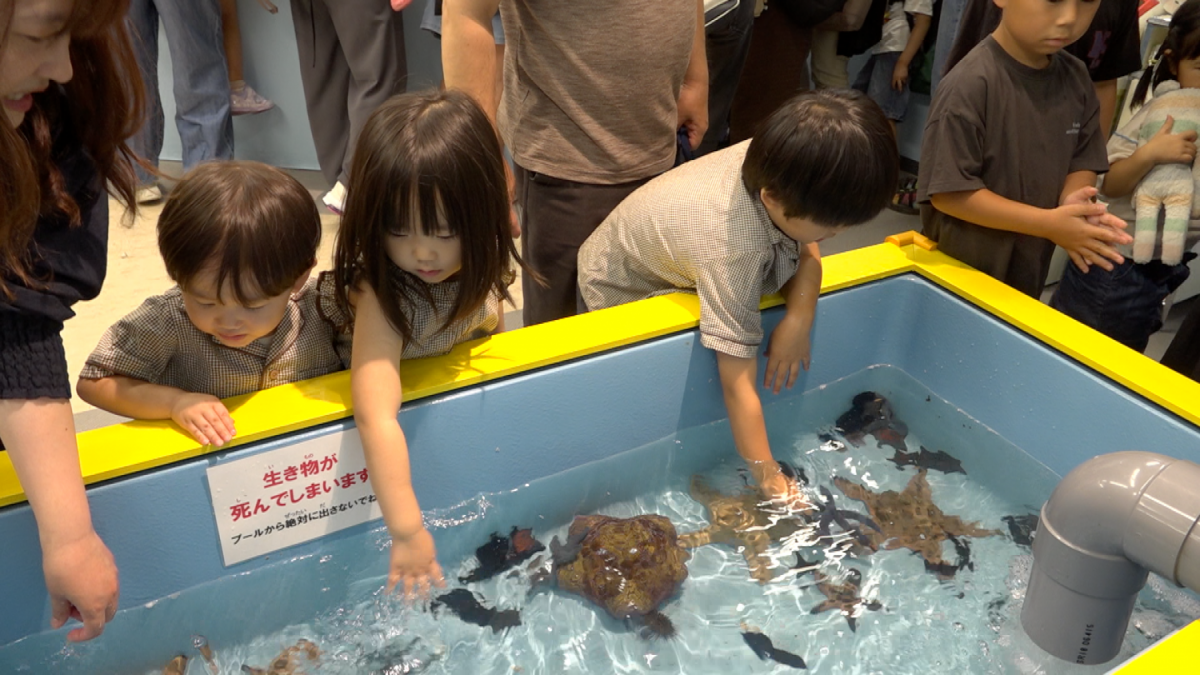 おもしろ不思議水族館2026
