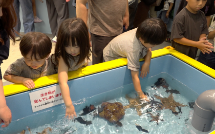 おもしろ不思議水族館2026