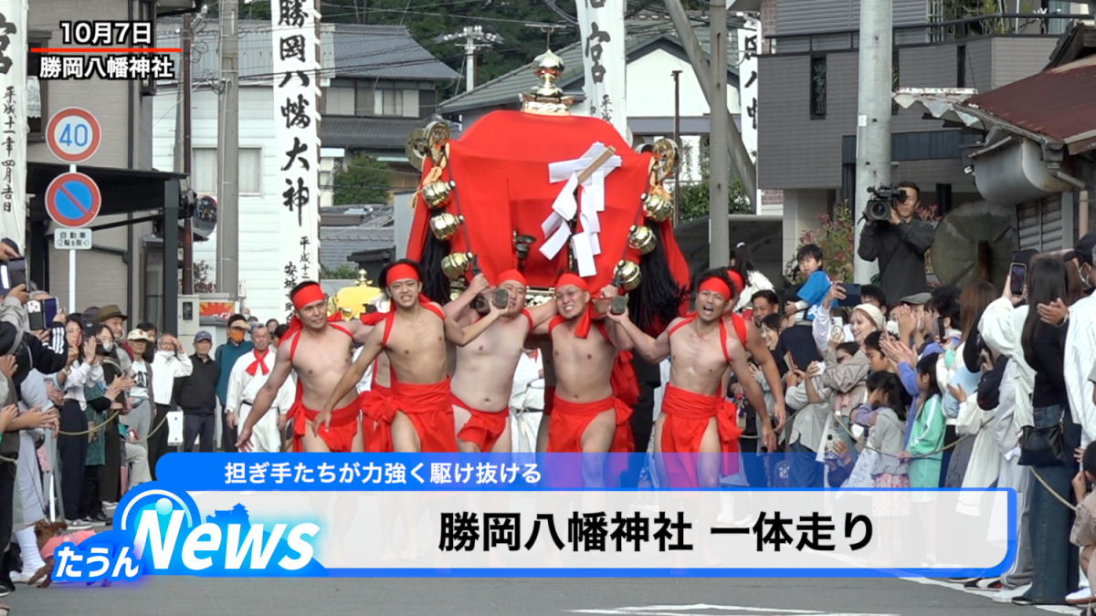 勝岡八幡神社 一体走り