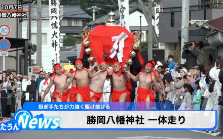 勝岡八幡神社 一体走り